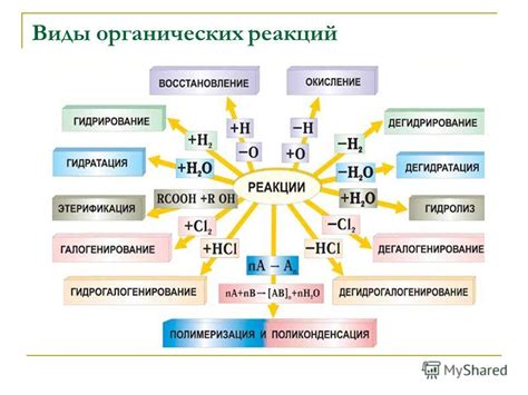 Взгляд на различные типы и механизмы действия анти-водорослевых препаратов для обработки воды в бассейне