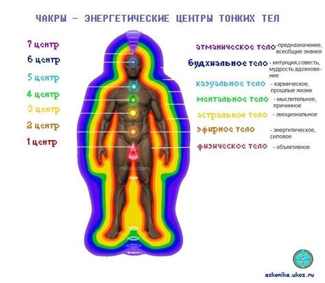 Вибрация тела: физические и энергетические аспекты