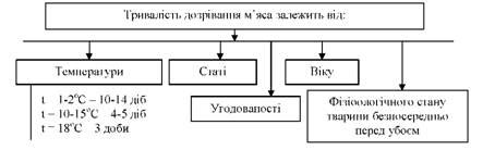 Вид мяса и его влияние на процесс приготовления