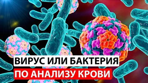 Вирусные и бактериальные инфекции: основные причины носовой заложенности