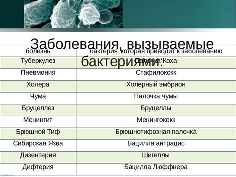 Вирусные и бактериальные инфекции в дыхательной системе