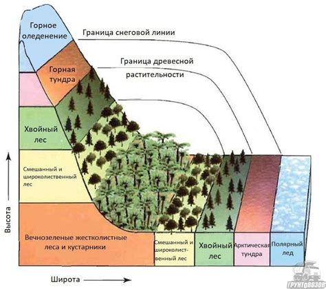 Вклад ученого в декодирование геологической природы вертикальной зональности