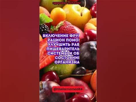 Включение фруктов в рацион питомца: важные компоненты здорового питания