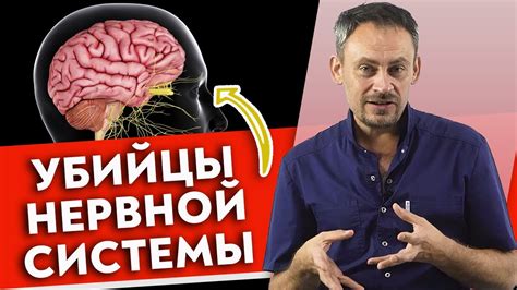 Влияние Омега 3 на работу головного мозга и нервной системы