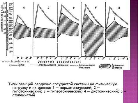 Влияние активной концентрации на общую физическую нагрузку