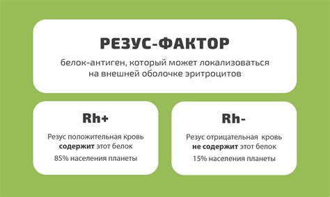 Влияние антител в организме при проблемах с совместимостью резус-фактора