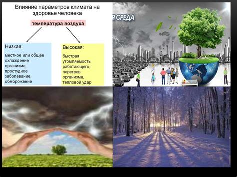 Влияние биологических систем на климат и обеспечение безопасности питания