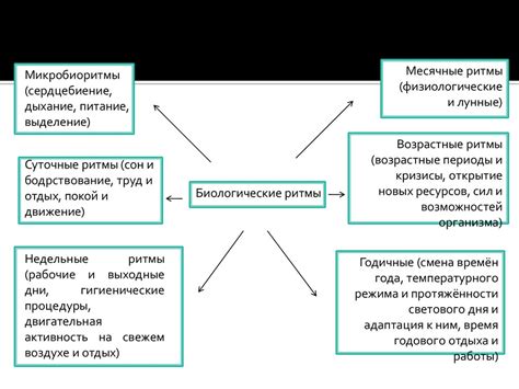 Влияние вождя на работоспособность и эффективность существ в оккупированной территории