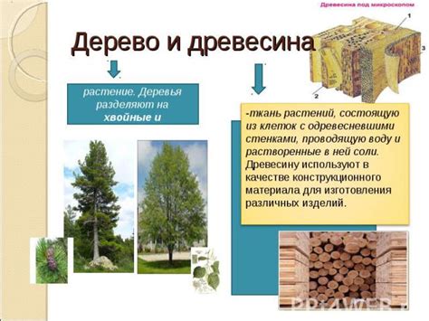 Влияние времени и использования на состояние древесного покрытия