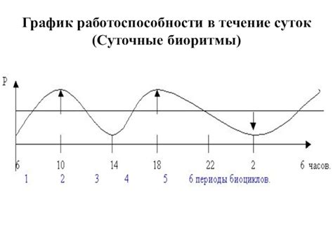 Влияние времени суток на обнаружение шульги в Зоне