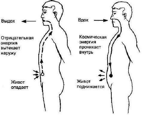 Влияние втягивания живота на организм во время ходьбы