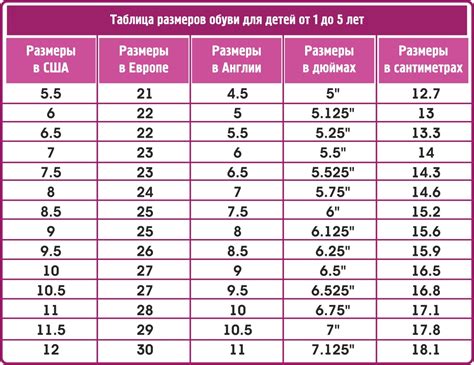 Влияние генетики на форму и размеры ног