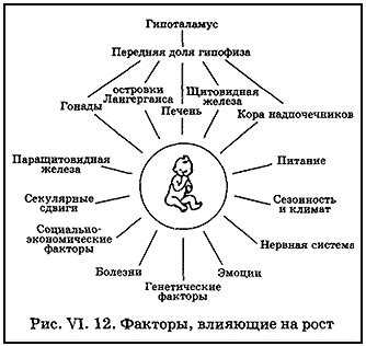 Влияние генетических факторов на увеличение уровня спонтанной оксидирующей эпидемиологии (Соэ) у мужчин