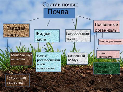 Влияние дисбаланса питательных веществ на характеристики почвы