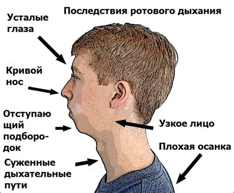 Влияние дыхания через нос и рот на кислородное насыщение организма