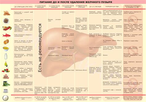 Влияние жидкостей на состояние печени после удаления желчного пузыря