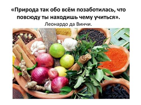 Влияние запаха протухшего мяса на сохранность продуктов