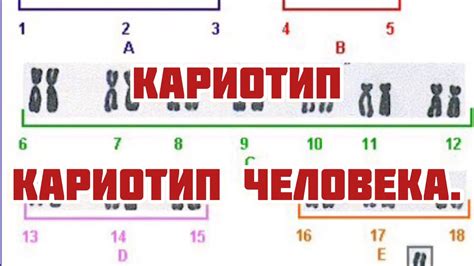 Влияние кариотипа 47, хромосом на физическое и психологическое развитие