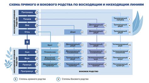 Влияние культурных норм на обозначение родственных связей