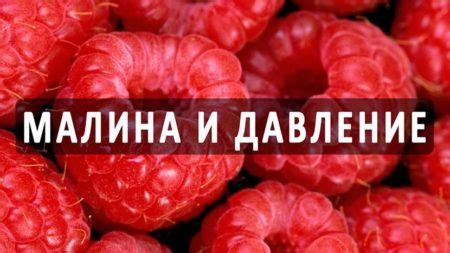 Влияние малины на защитную систему организма и ее значимость для поддержания физического благополучия