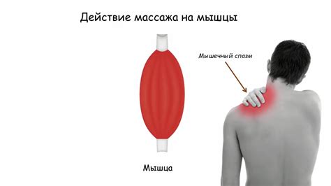 Влияние массажа на дыхательные мышцы и состояние кожи