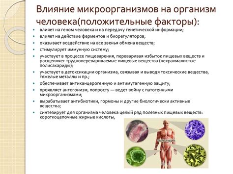 Влияние микроорганизмов патогенной природы на организм женщины