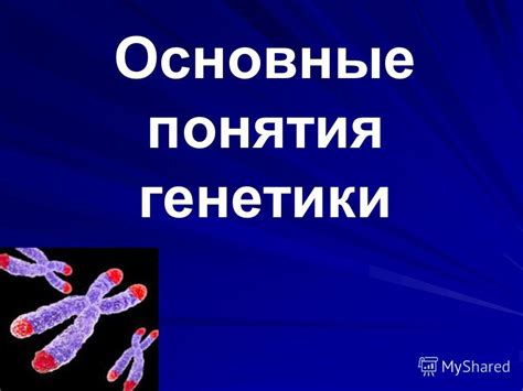 Влияние наследственности и генетики на возникновение потребности в чесании глаза