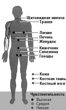 Влияние на организм в целом