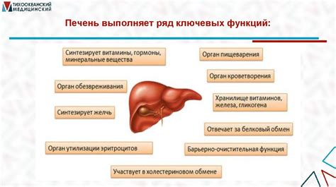 Влияние на питание и кислородное обеспечение плода