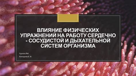 Влияние на работу сердечно-сосудистой системы и функции дыхания