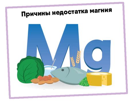 Влияние недостатка магния и калия на аппетит и работу пищеварительной системы