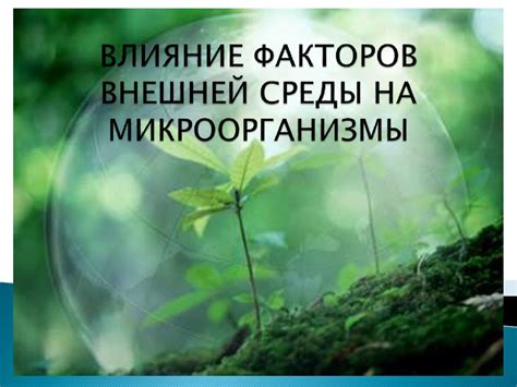 Влияние окружающей среды: значимость учета внешних факторов