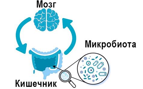 Влияние отсутствия роста микробиоты на здоровье