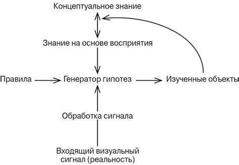 Влияние предыдущего опыта на формирование связей