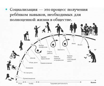 Влияние публичных казней на социальное развитие общества в королевстве Norland