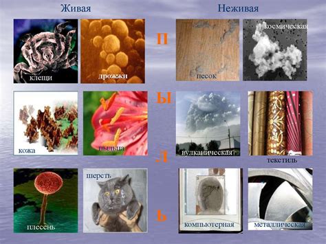 Влияние пыли и смога на возникновение красных участков на небосводе