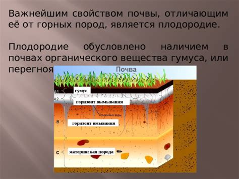 Влияние разложенного органического материала на плодородие почвы