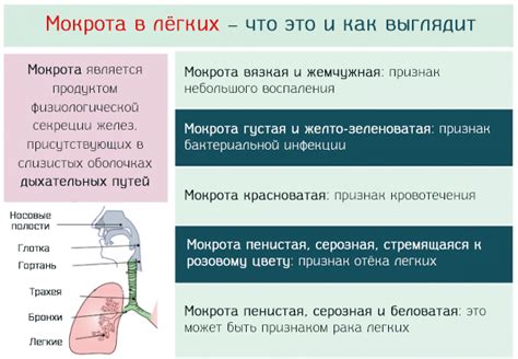 Влияние режима питья на процесс выделения мокроты