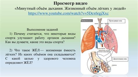 Влияние старения на емкость легких и объем дыхания