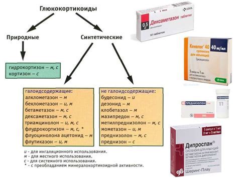 Влияние стероидных препаратов на лечение кожных изменений на спине