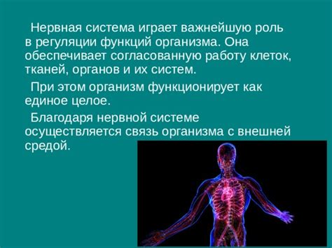 Влияние стресса на работу нервной системы в контексте дыхания