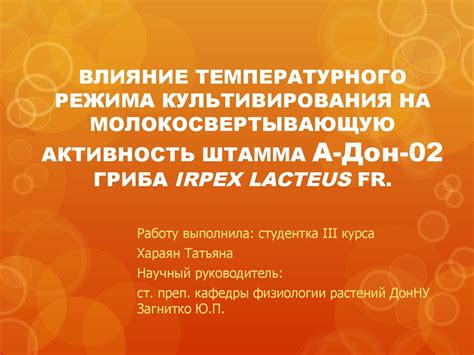 Влияние температурного режима на успешное размещение чеснока