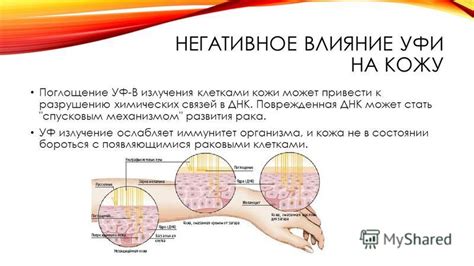 Влияние ультрафиолетового излучения на клетки кожи