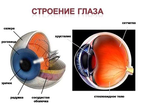 Влияние факторов на здоровье глаз и качество зрения