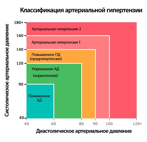 Влияние физической активности и рационального питания на уровень артериального давления