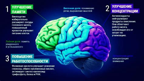 Влияние физической активности на восстановление когнитивных функций