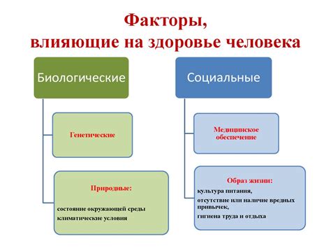 Внешние факторы, влияющие на состояние ресниц