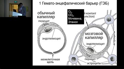 Внимание к деталям: сохранение аромата при поврежденном аппликаторе