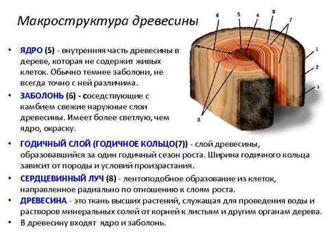 Внутренняя сущность древесины в старых интерьерах: символизм и глубинный язык подсознания