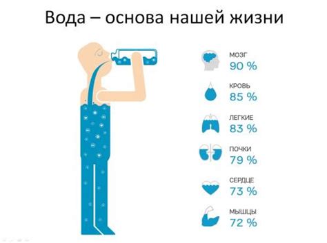 Вода и гидратация: роль в процессе выработки определенной фигуры